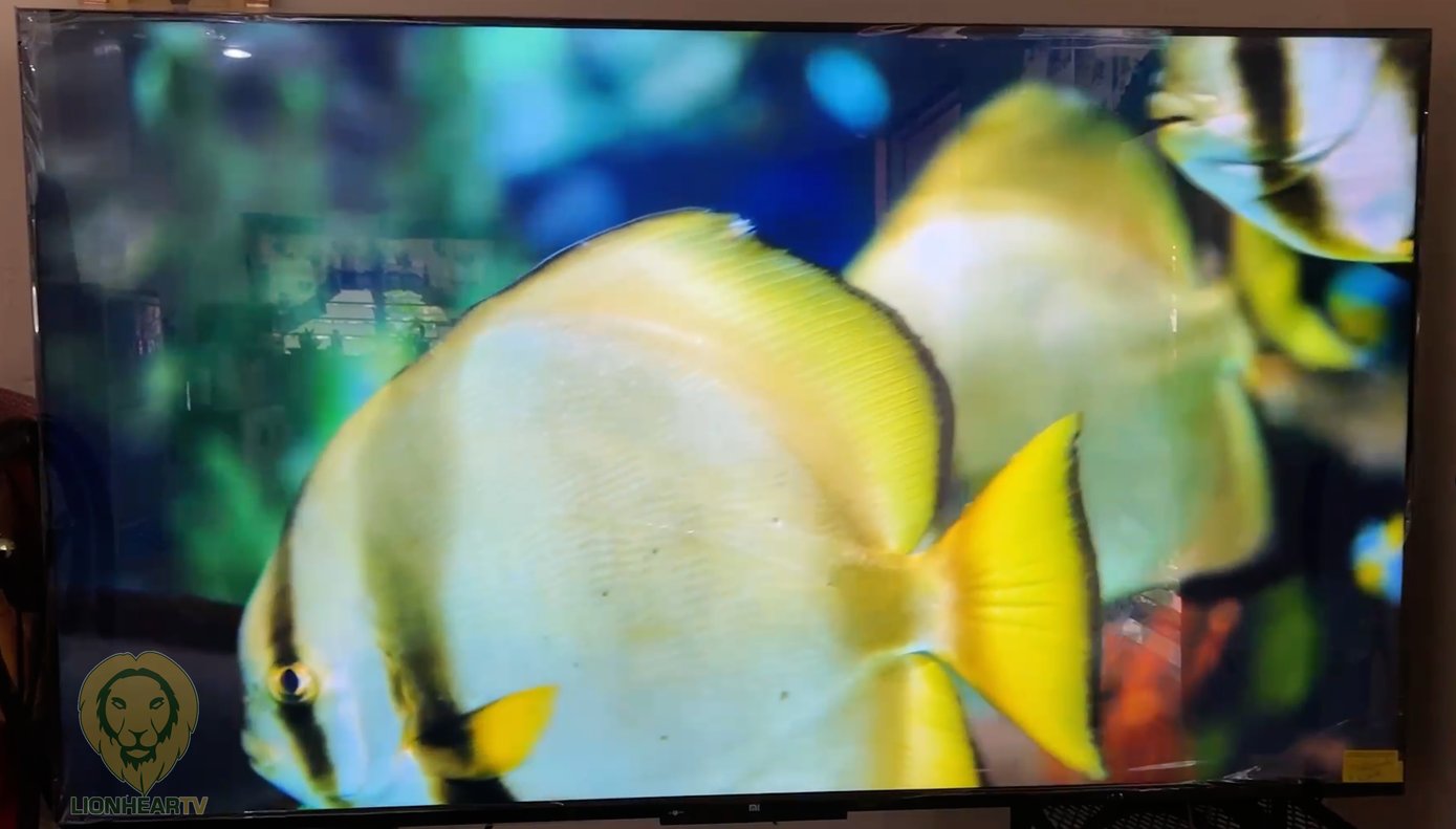 TV Xiaomi MI TV P1 55 4K UHD Smart TV Gris - TV LED/LCD